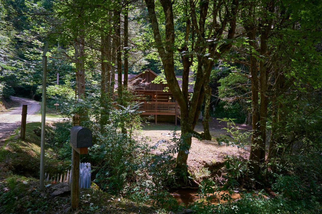 A Cabin In The Woods Pigeon Forge Bagian luar foto