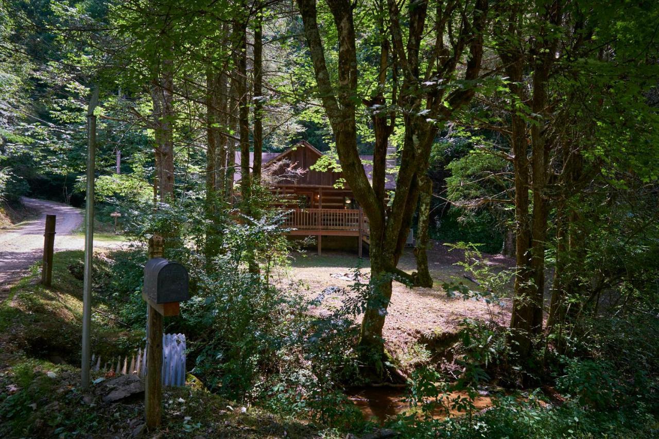 A Cabin In The Woods Villa Pigeon Forge Bagian luar foto