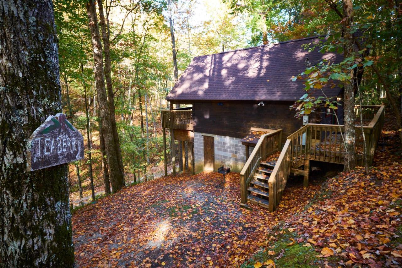 A Cabin In The Woods Villa Pigeon Forge Bagian luar foto